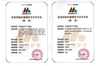 网剧处于风口浪尖，哪些“雷区”要规避？